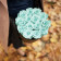 Eternity Azure Roses & Round Black Flowerbox