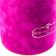 Eternity Golden Roses & Fuchsia Flocked Flowerbox
