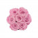 Eternity Pale Pink Roses & Small Black Flowerbox