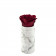 Eternity Red Rose & Mini White Marble Flowerbox