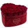 Eternity Red Roses & Large Heart-Shaped Red Flocked Box - LOVE EDITION