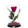 Eternal Pink Rose Beauty & The Beast