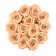 Roses Éternelles Herbées Dans Une Flowerbox Beige Floquee