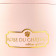 Roses Eternelles Blanches Dans Une Flowerbox Rose