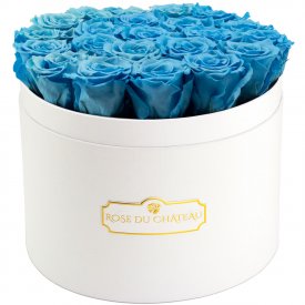Modré věčné růže ve velkém bílém flowerboxu