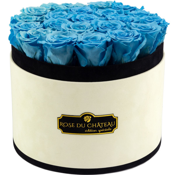 Modré věčné růže ve velkém béžovém flowerboxu