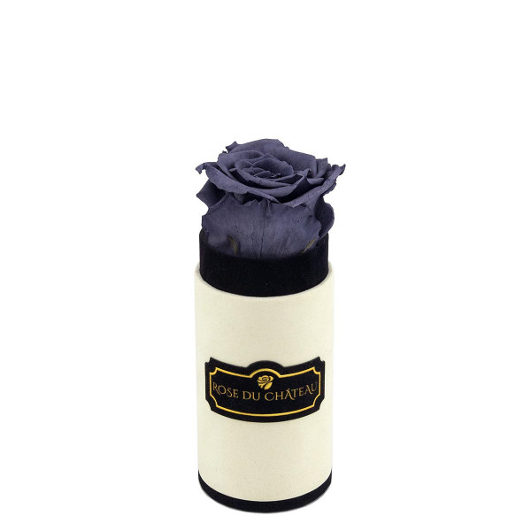 Šedá věčná růže v mini béžovém flowerboxu
