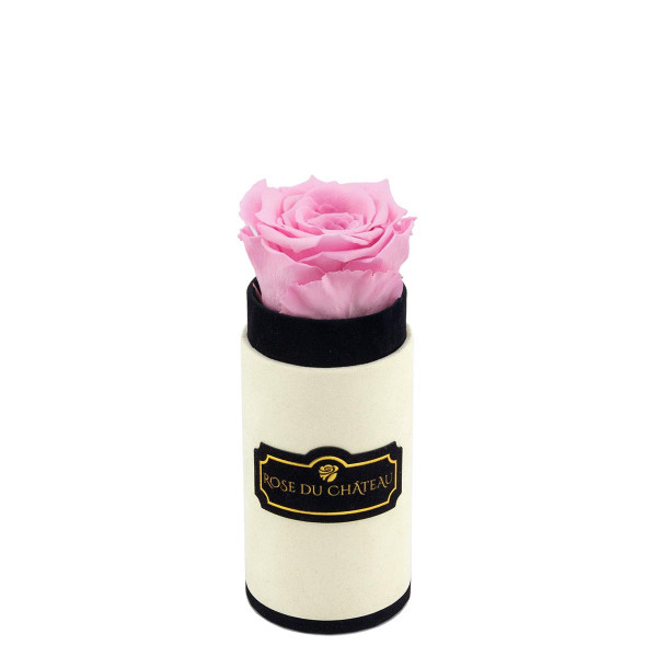 Světle růžová věčná růže v mini béžovém flowerboxu