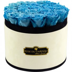 Modré věčné růže ve velkém béžovém flowerboxu