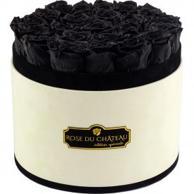 ČERNÉ věčné růže ve velkém béžovém flowerboxu