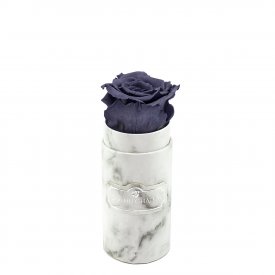 Šedá věčná růže v mini bílém mramorovém flowerboxu