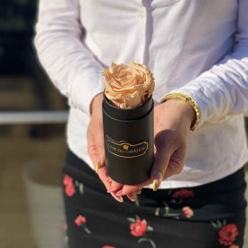 Čajová věčná růže v černém mini flowerboxu