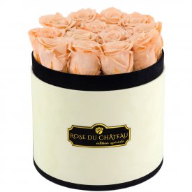 Čajové věčné růže v béžovém flowerboxu
