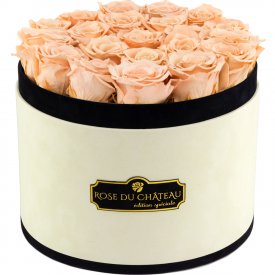 Čajové věčné růže ve velkém béžovém flowerboxu