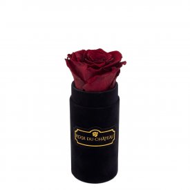 Červená věčná růže v černém mini flowerboxu