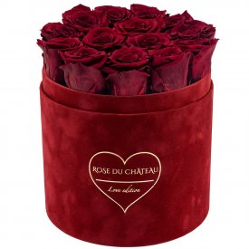 Červené věčné růže v růžovém semišovém flowerboxu - LOVE EDITION