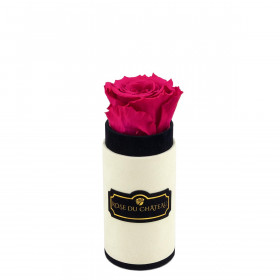 Růžová věčná růže v mini béžovém flowerboxu