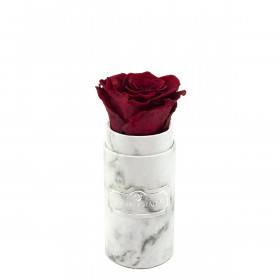 Červená věčná růže v mini bílém mramorovém flowerboxu