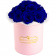TMAVĚ MODRÉ věčné růže bouquet v malém RŮŽOVÉM flowerboxu