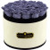Šedé věčné růže ve velkém béžovém flowerboxu