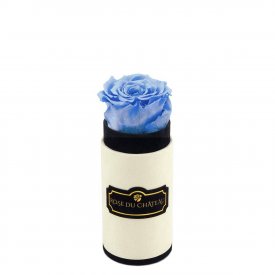 Azurblaue Ewige Rose in weißer marmorierter Mini Rundbox