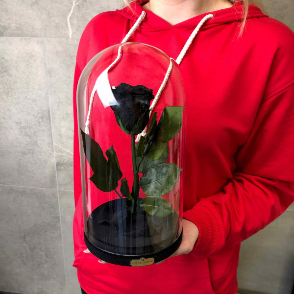 Schwarze Ewige Rose Die Schöne & Das Biest
