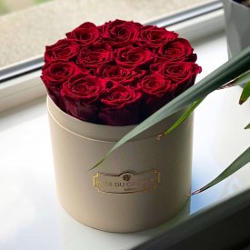 Rote Ewige Rosen in pfirsichfarbener Rosenbox