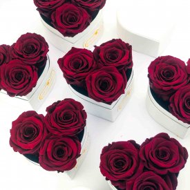 Rote Ewige Rosen in schwarzer Herz Box