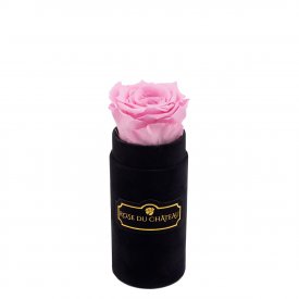 Rosafarbene Ewige Rose in schwarzer Mini Rosenbox