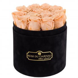 Rosa Ewige Rosen in schwarzer Rundbox