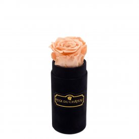 Rosafarbene Ewige Rose in schwarzer Mini Rosenbox