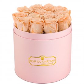 Teefarbene Ewige Rosen in rosafarbener Rosenbox
