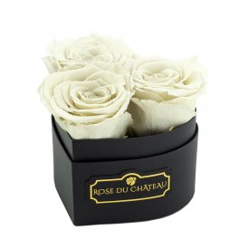 Rote Ewige Rosen in schwarzer Herz Box