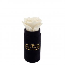 Rosafarbene Ewige Rose in schwarzer Mini Rosenbox