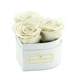 Rote Ewige Rosen in schwarzer Herz Box