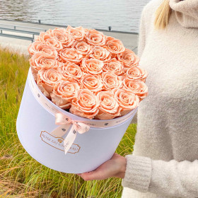 Teefarbene Ewige Rosen in weißer Rosenbox Large