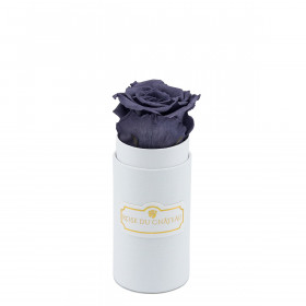 Schwarze Ewige Rose in weißer Mini Rosenbox