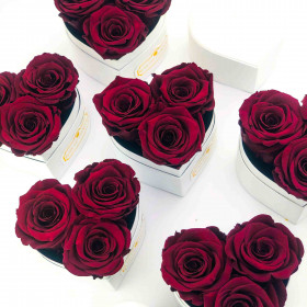 Rote Ewige Rosen in schwarzer Herz Box