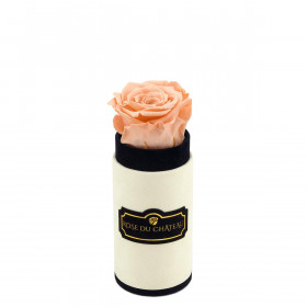 Teefarbene Ewige Rose in weißer marmorierter Mini Rundbox