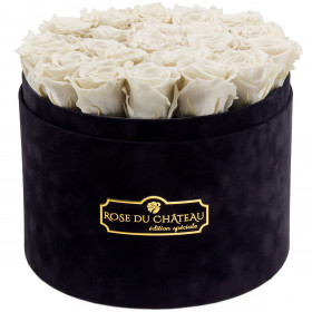 Rosa Ewige Rosen in schwarzer Rosenbox Large