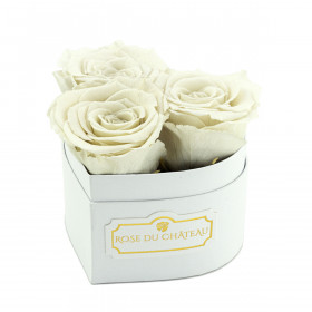 Rote Ewige Rosen in schwarzer Herz Box