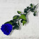 Blaue Infinity Rose - 50 cm