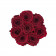 Rote Ewige Rosen in schwarzer Rosenbox Small