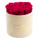 Rosa Ewige Rosen in beigefarbiger Beflockter Rosenbox