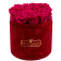 Blassrosa Ewige Rosen in bordeauxroter Beflockter Rosenbox