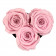 Rote Ewige Rosen in schwarzer Herz Box