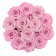 Blassrosa Ewige Rosen in bordeauxroter Beflockter Rosenbox