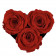 Rote Ewige Rosen in schwarzer Herz Box