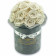 Rote Ewige Rosen Bouquet in schwarzer Rosenbox