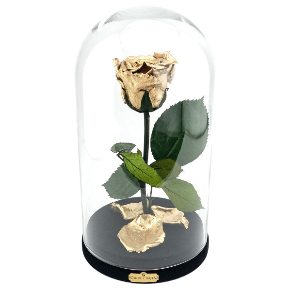Eternal Gold Rose Beauty & The Beast